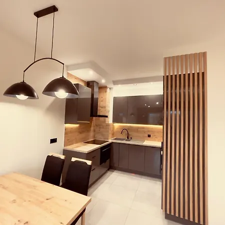 Apartament Slupsk 公寓 斯武普斯克